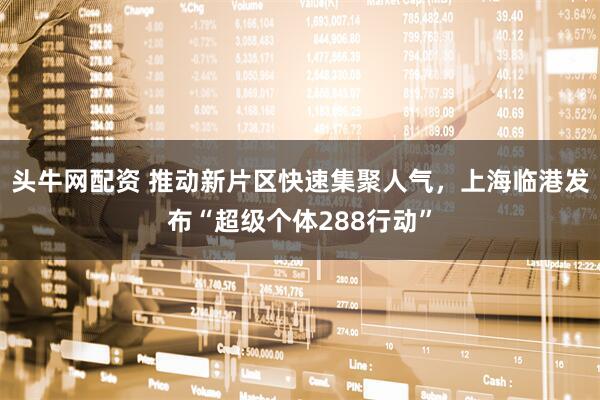 头牛网配资 推动新片区快速集聚人气，上海临港发布“超级个体288行动”