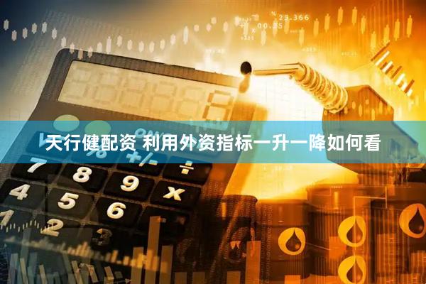 天行健配资 利用外资指标一升一降如何看