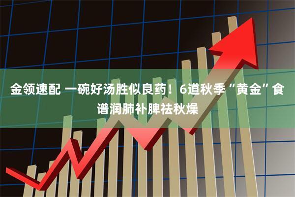 金领速配 一碗好汤胜似良药！6道秋季“黄金”食谱润肺补脾祛秋燥