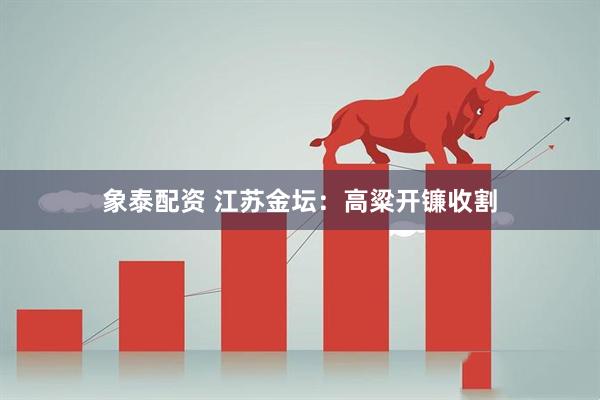 象泰配资 江苏金坛：高粱开镰收割