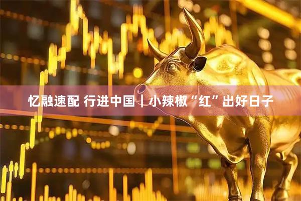 忆融速配 行进中国｜小辣椒“红”出好日子