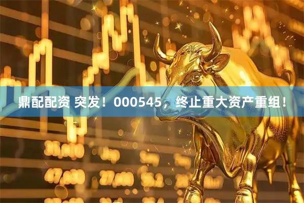 鼎配配资 突发！000545，终止重大资产重组！
