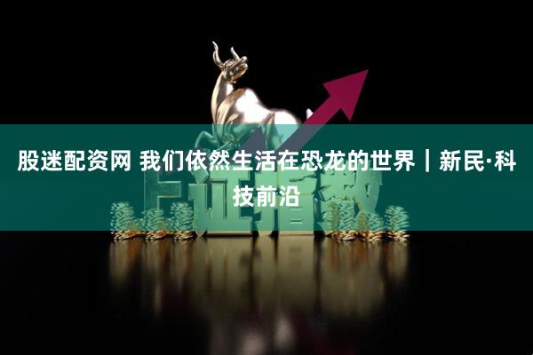 股迷配资网 我们依然生活在恐龙的世界｜新民·科技前沿