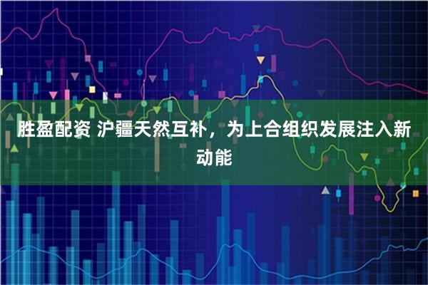 胜盈配资 沪疆天然互补，为上合组织发展注入新动能